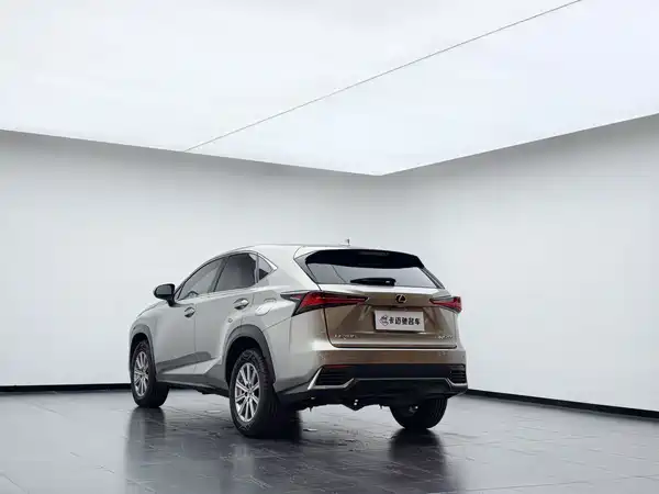 Lexus NX 2019