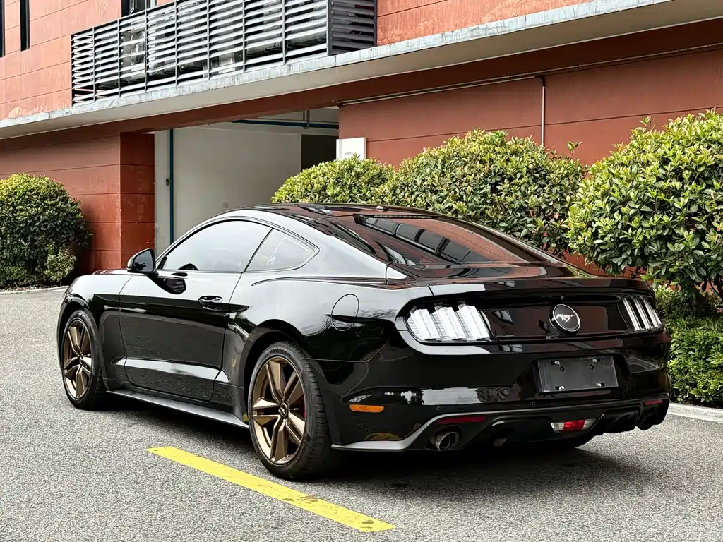 Ford Mustang 2017 — фото 13