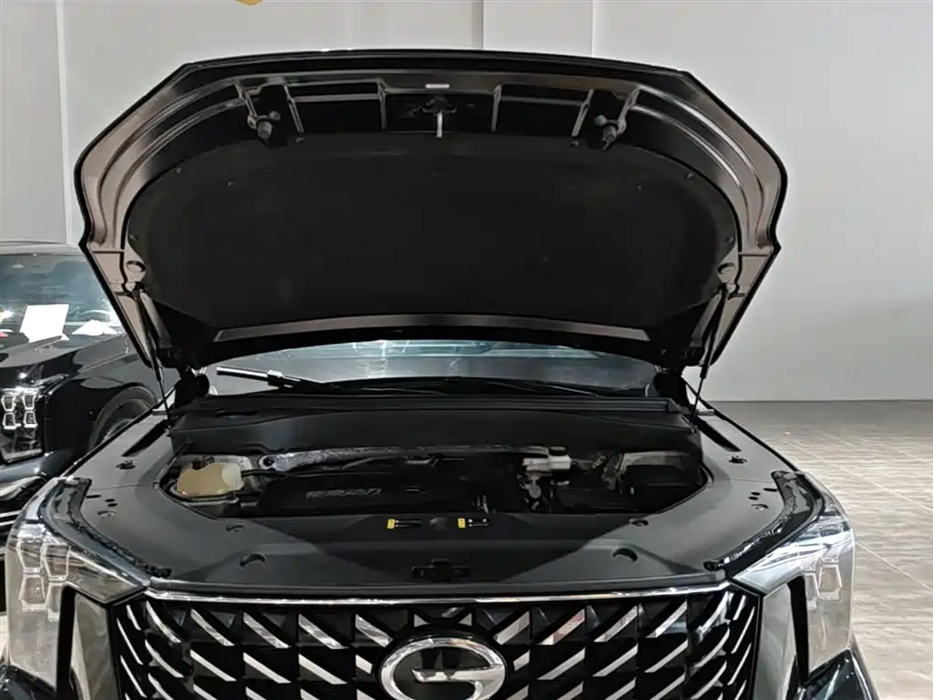 GAC Motor Trumpchi GS8 2023 — фото 20