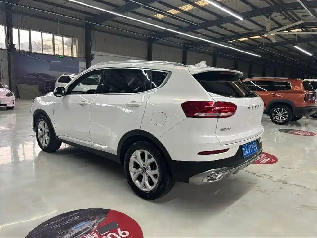 Haval H6 2020 — фото 6