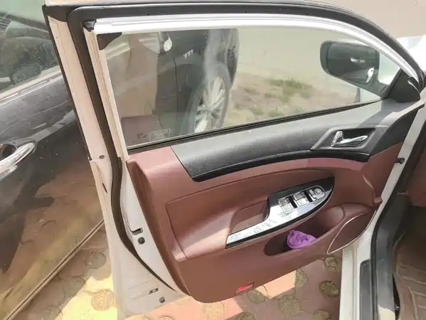 BYD Surui 2016