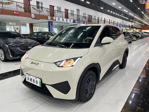 BYD Seagull 2025