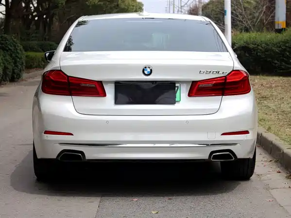 BMW 5 Series New Energy 2019