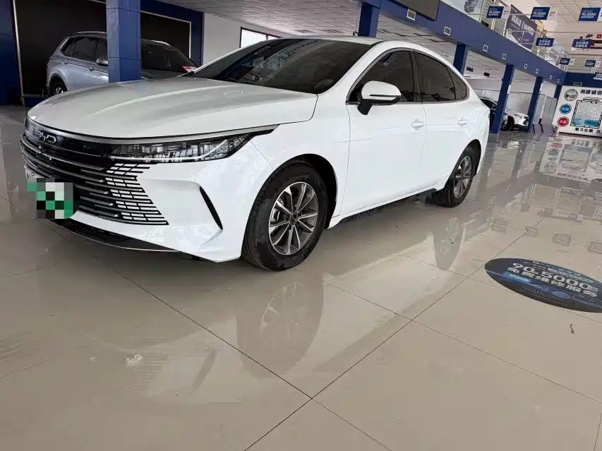BYD Destroyer 05 2024 — фото 1