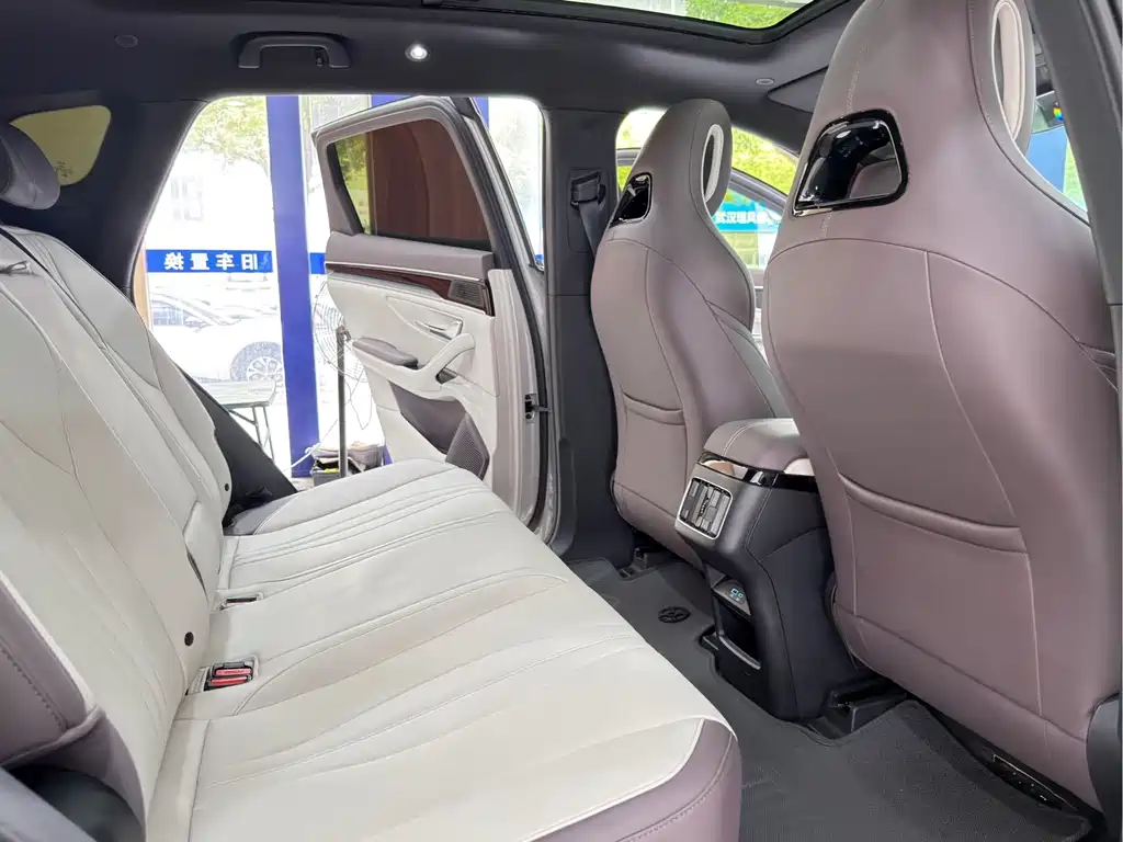 BYD Song PLUS New Energy 2025 — фото 14