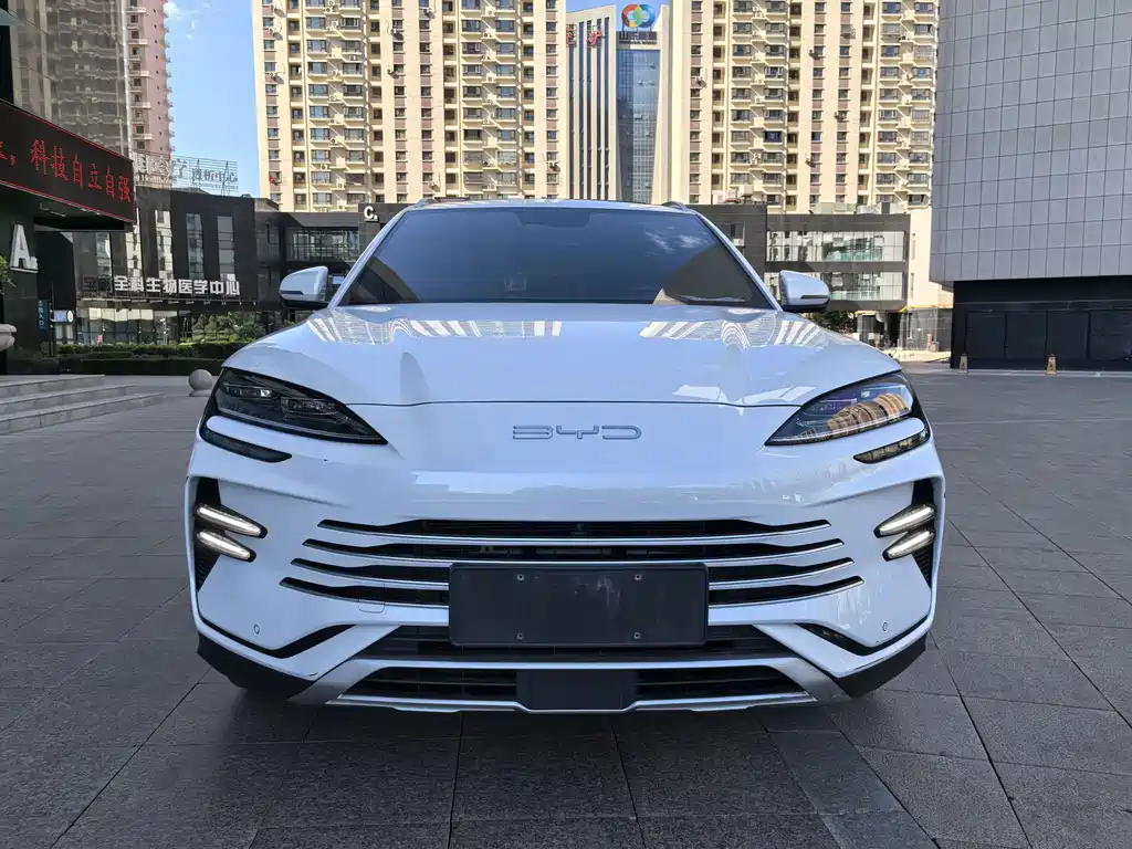 BYD Song PLUS New Energy 2024 — фото 2
