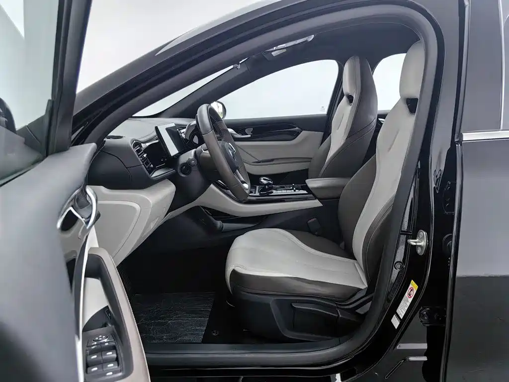 BYD Qin PLUS 2024 — фото 10