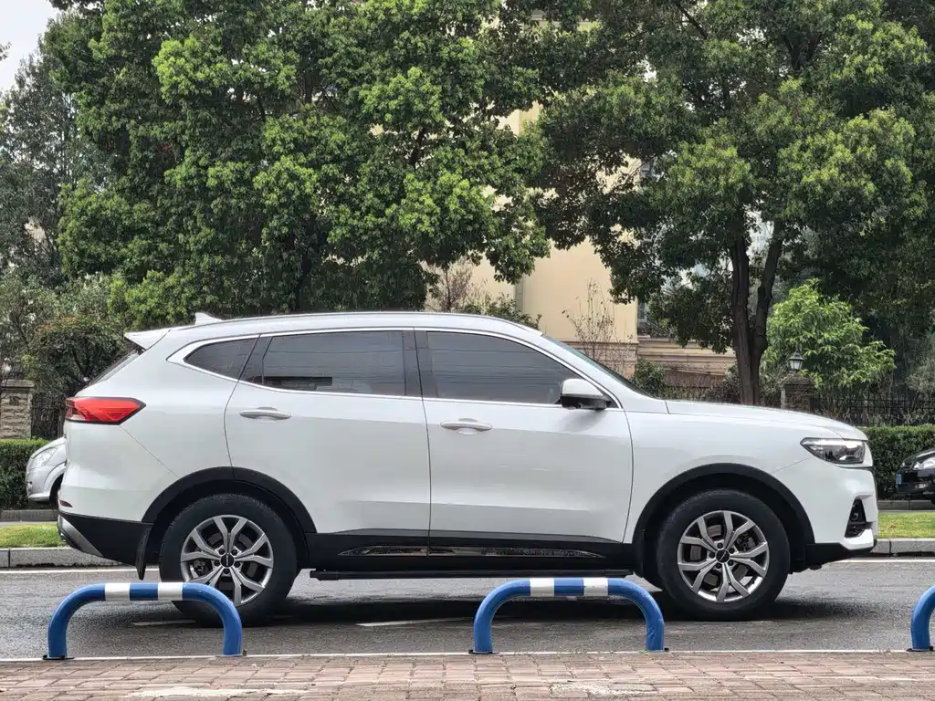 Haval H6 2021 — фото 13