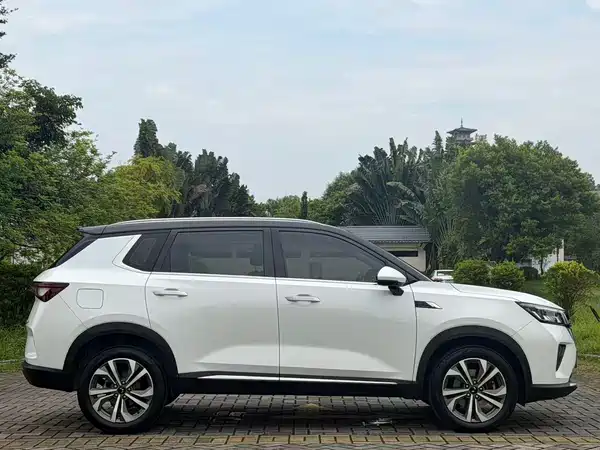 Wuling Star 2022