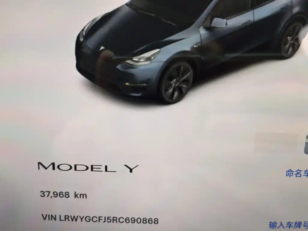 Tesla Model Y 2024 — фото 11