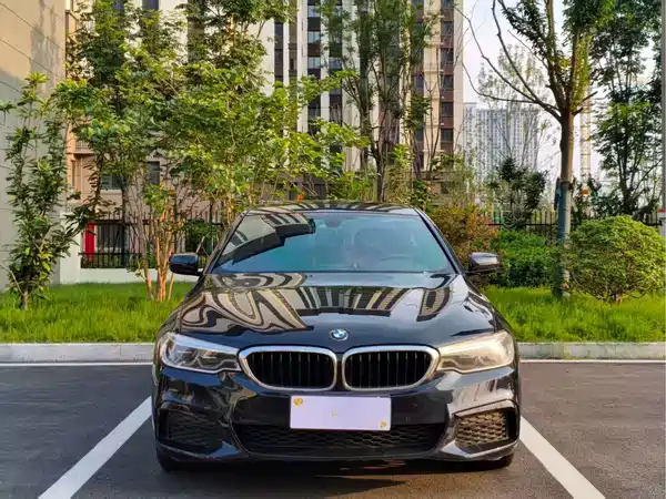 BMW 5 Series 2020