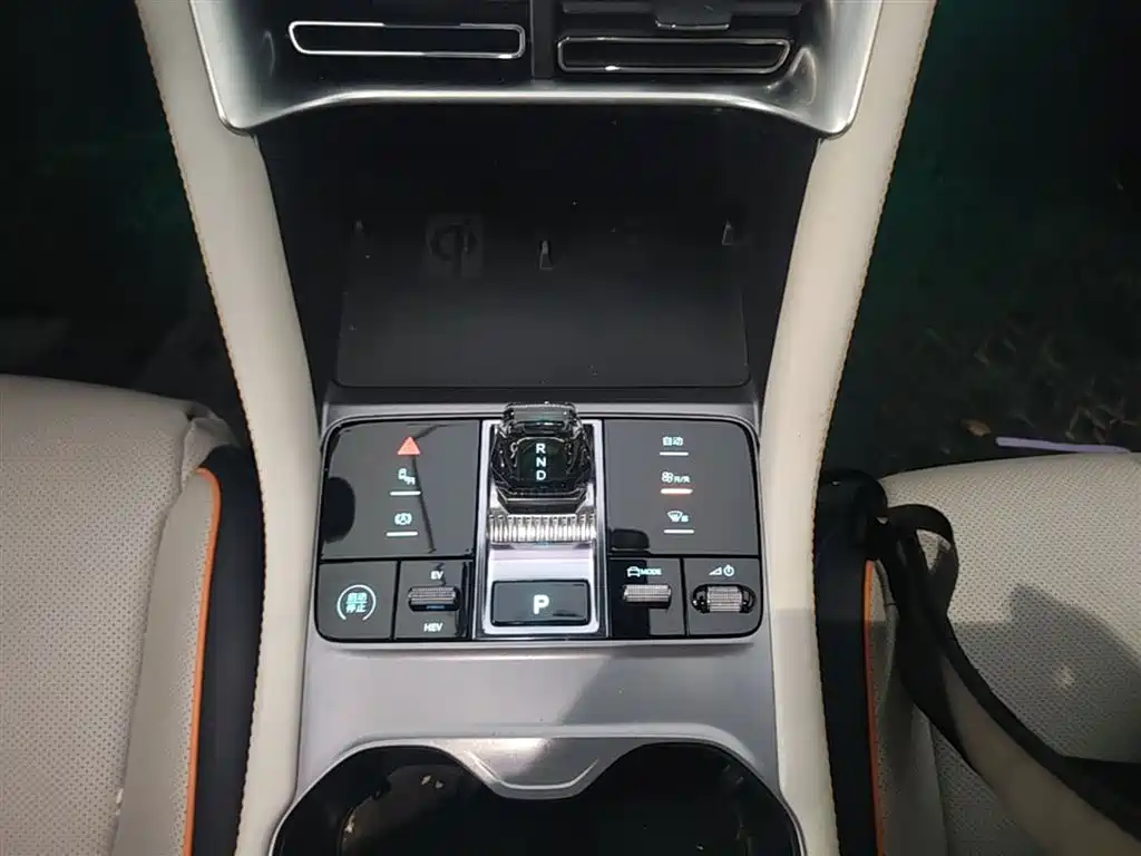 BYD PLUS New Energy 2024 — фото 14