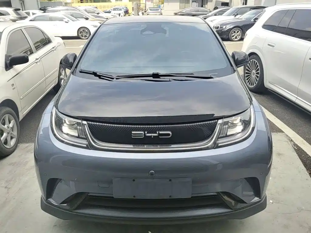 BYD Dolphin 2023 — фото 3