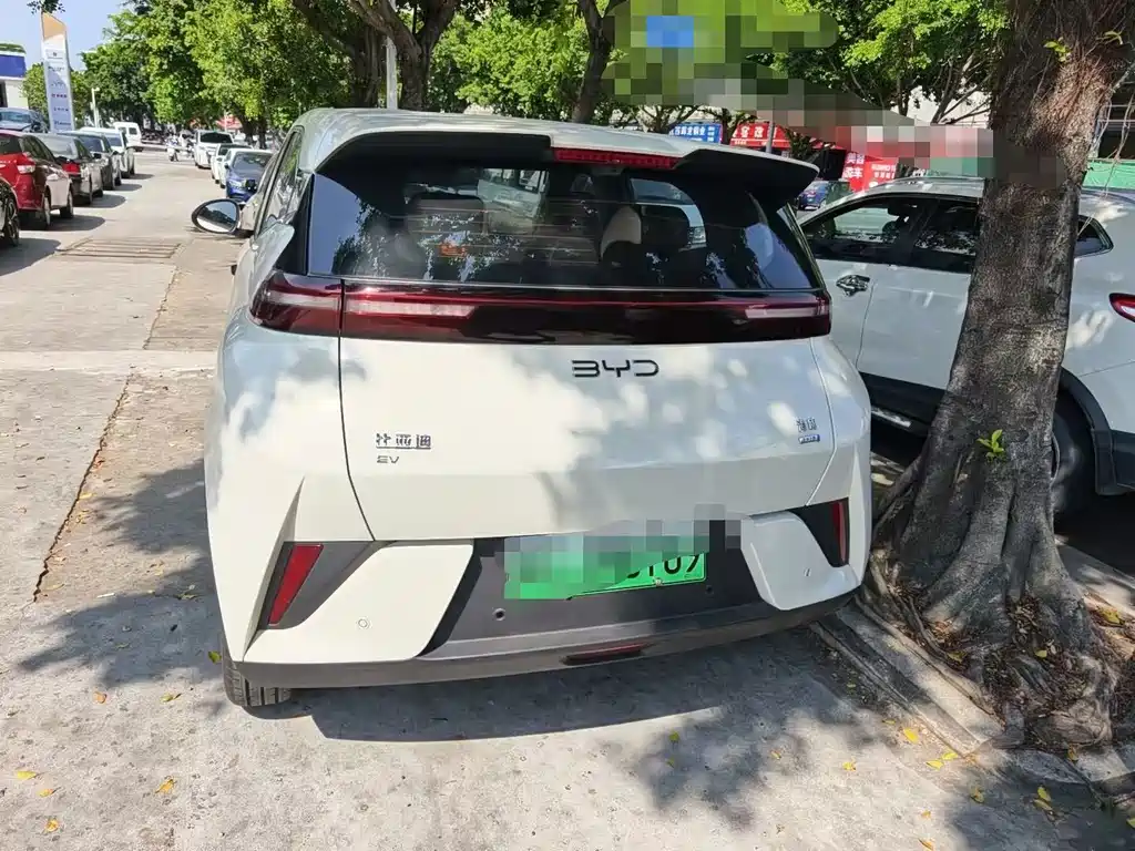 BYD Seagull 2025