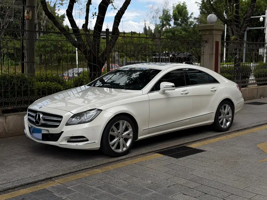 Mercedes-Benz CLS 2013 — фото 1