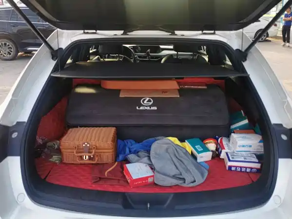 Lexus UX 2020