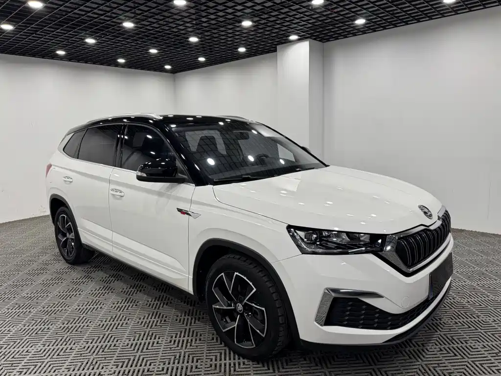 Skoda Kamiq 2022 — фото 1
