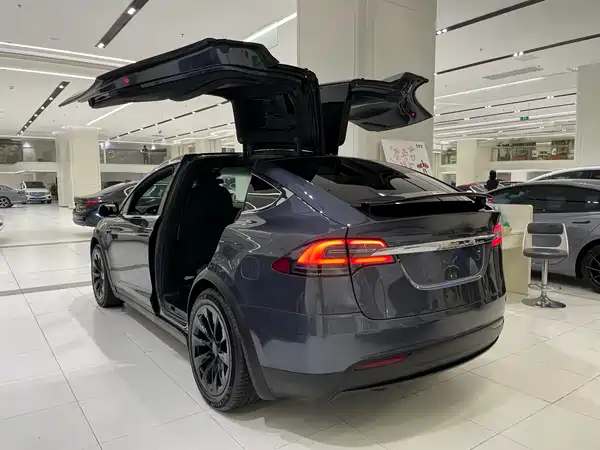 Tesla Model X 2020
