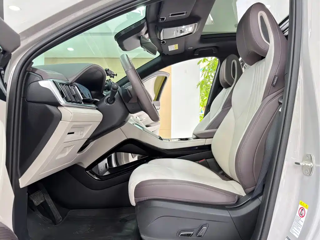 BYD Song PLUS New Energy 2025 — фото 10