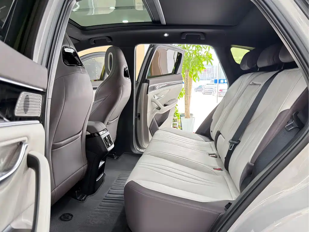 BYD Song PLUS New Energy 2025 — фото 11