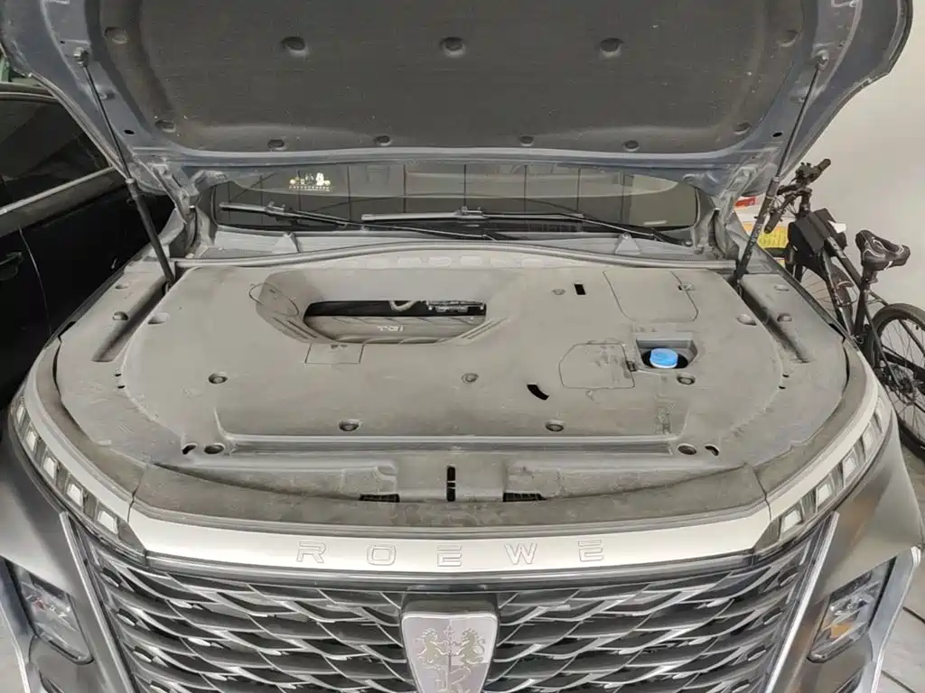 Roewe RX5 MAX 2022 — фото 20