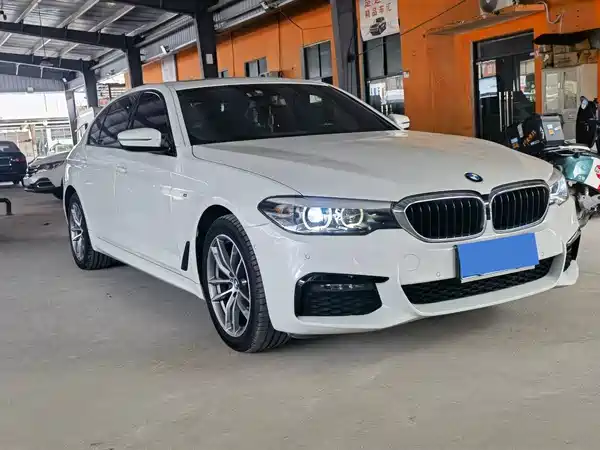 BMW 5 Series 2019