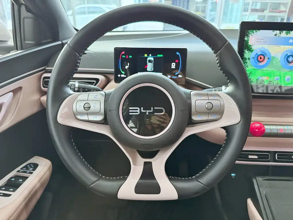 BYD Seagull 2024 — фото 12