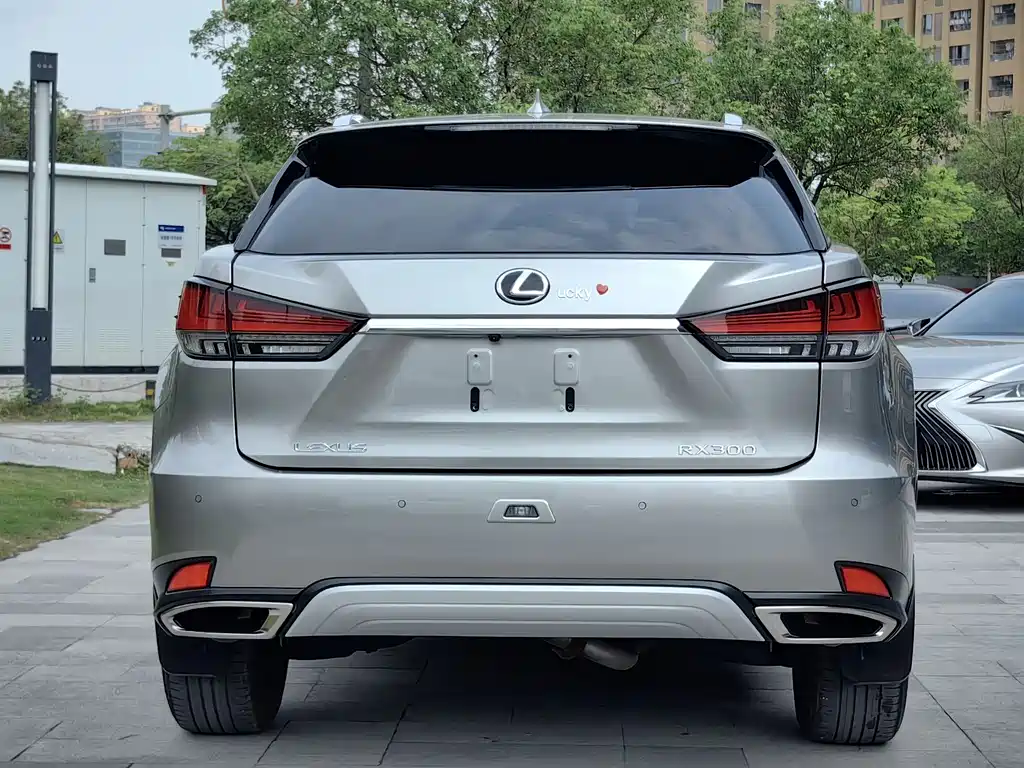 Lexus RX 2022 — фото 5