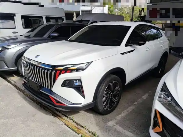 Dongfeng Haoji 2024