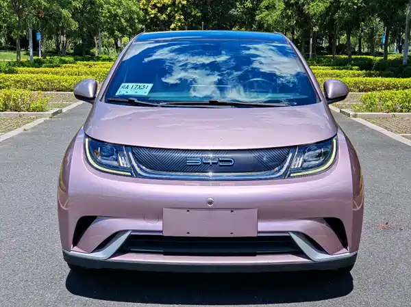 BYD Dolphin 2022