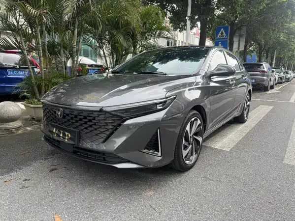 Changan Ruicheng PLUS 2022