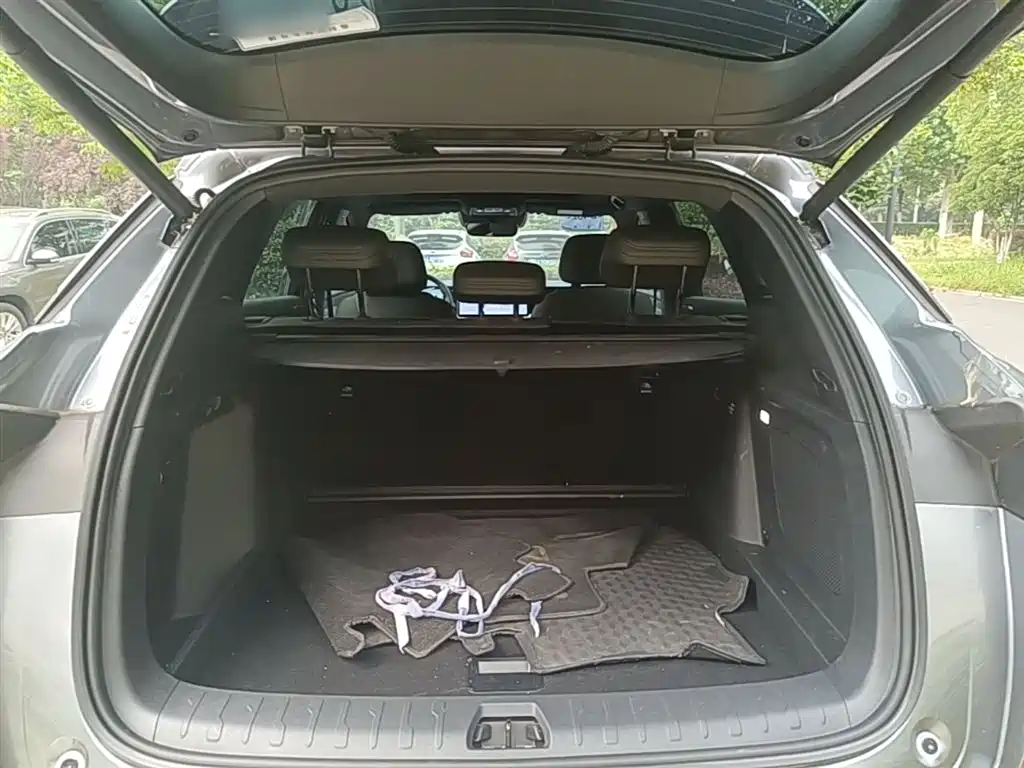 BYD L DM-i 2025 — фото 19
