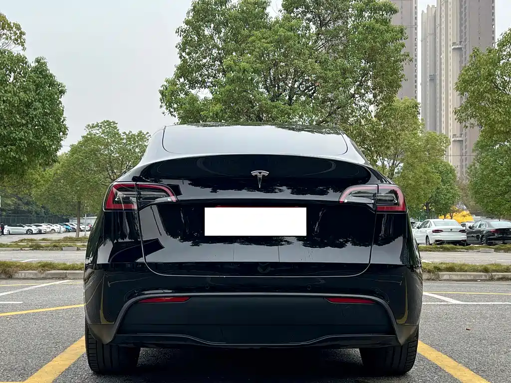 Tesla Model Y 2023 — фото 15