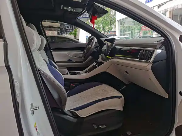 BYD Song PLUS New Energy 2025