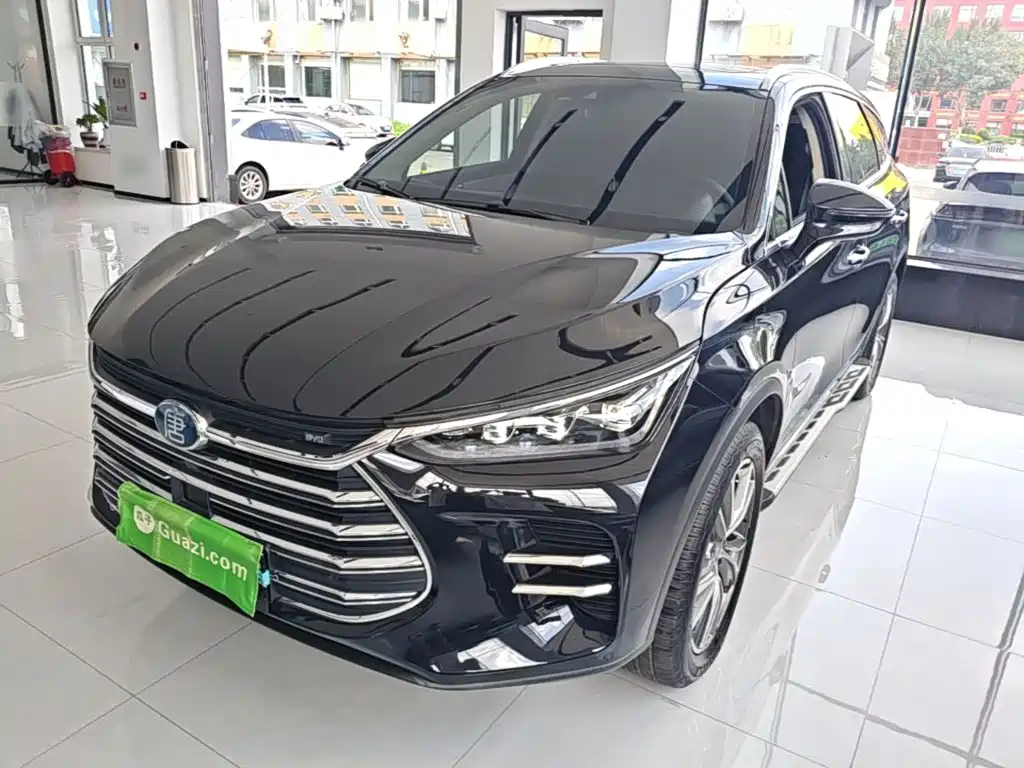 BYD Tang New Energy 2019 — фото 1
