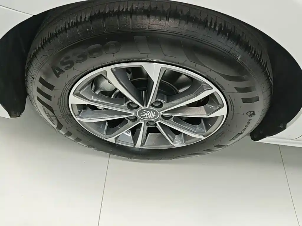 BYD Qin PLUS 2025 — фото 23