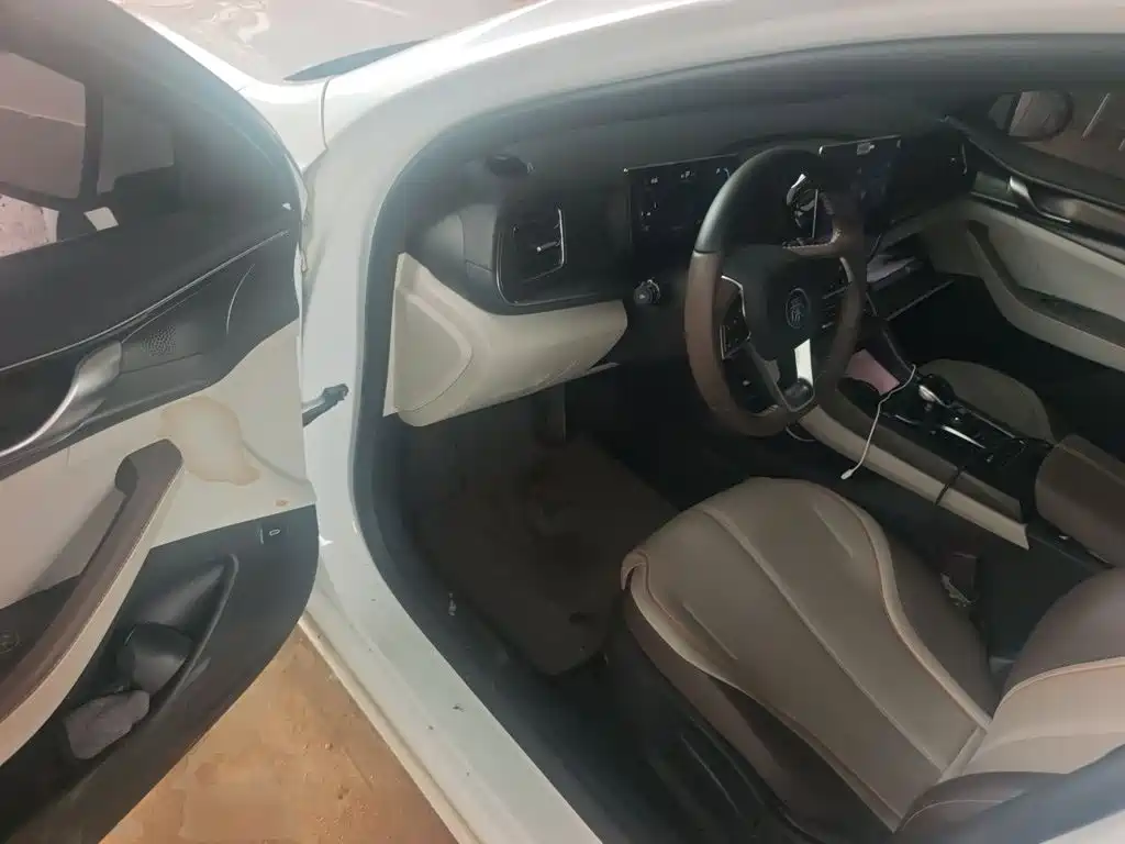 BYD Qin PLUS 2024 — фото 12
