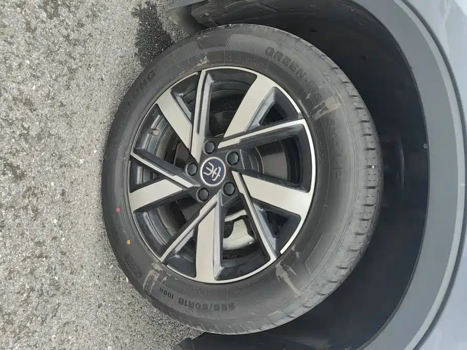 BYD Song Pro New Energy 2024 — фото 6