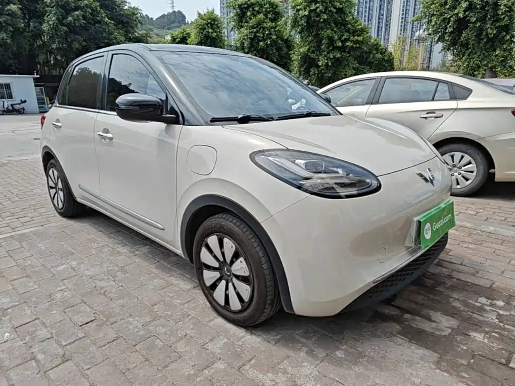 Wuling Bingo 2024