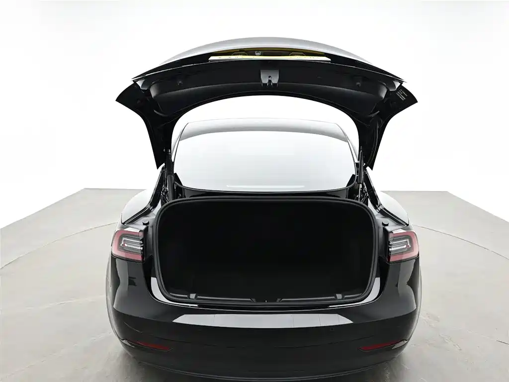Tesla Model 3 2021 — фото 10