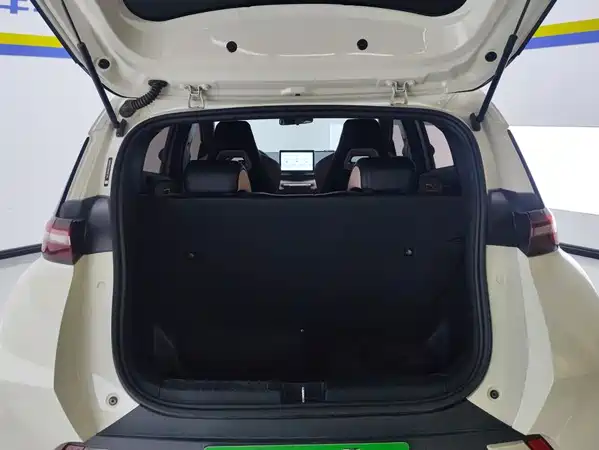 BYD Seagull 2024
