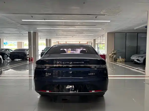 BYD Destroyer 05 2023