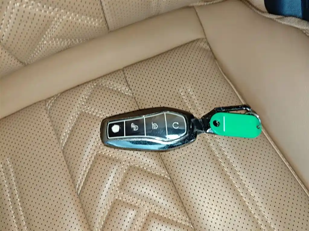 BYD L DM-i 2024 — фото 9