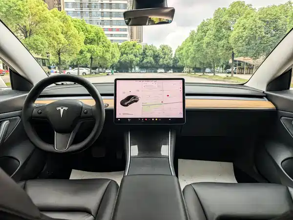 Tesla Model 3 2020