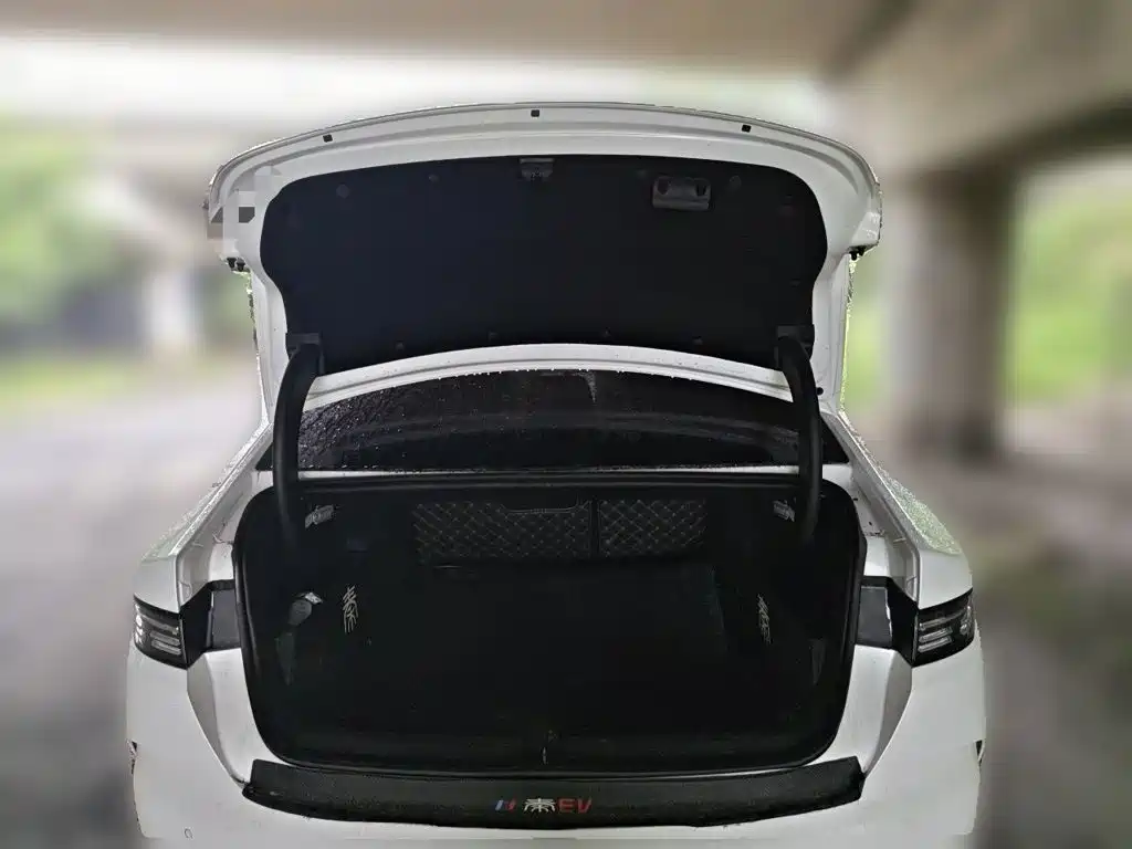 BYD Qin PLUS 2024 — фото 10