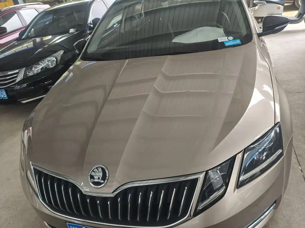 Skoda Octavia 2019 — фото 2