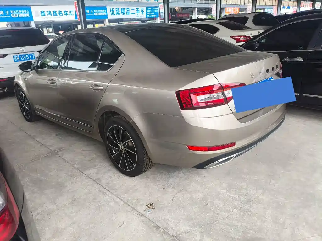 Skoda Octavia 2019 — фото 13