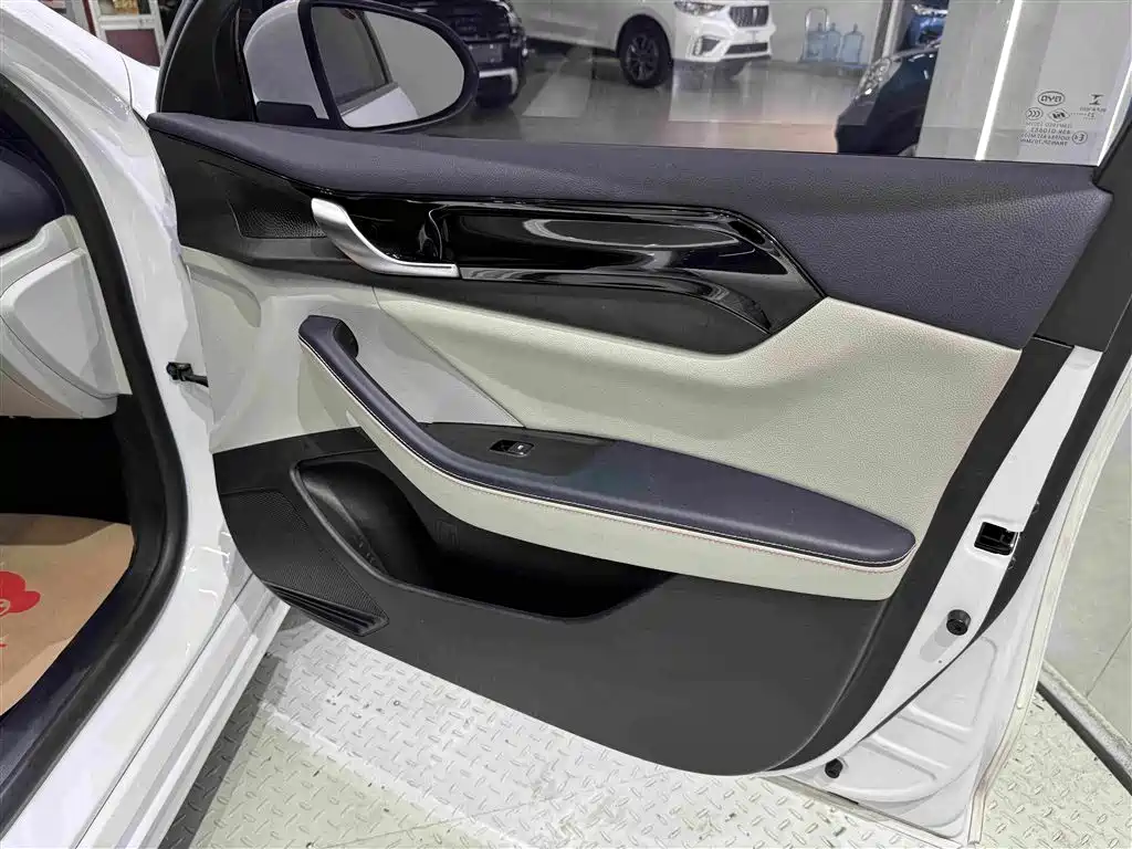 BYD Qin PLUS 2021 — фото 24