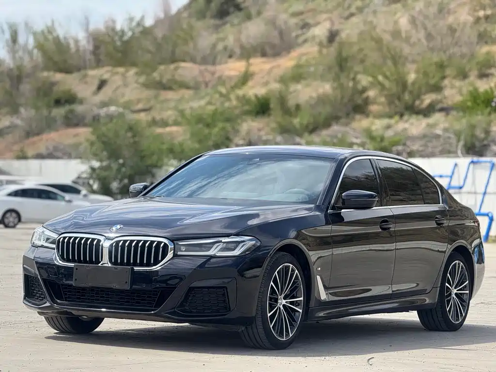 BMW 5 Series 2021