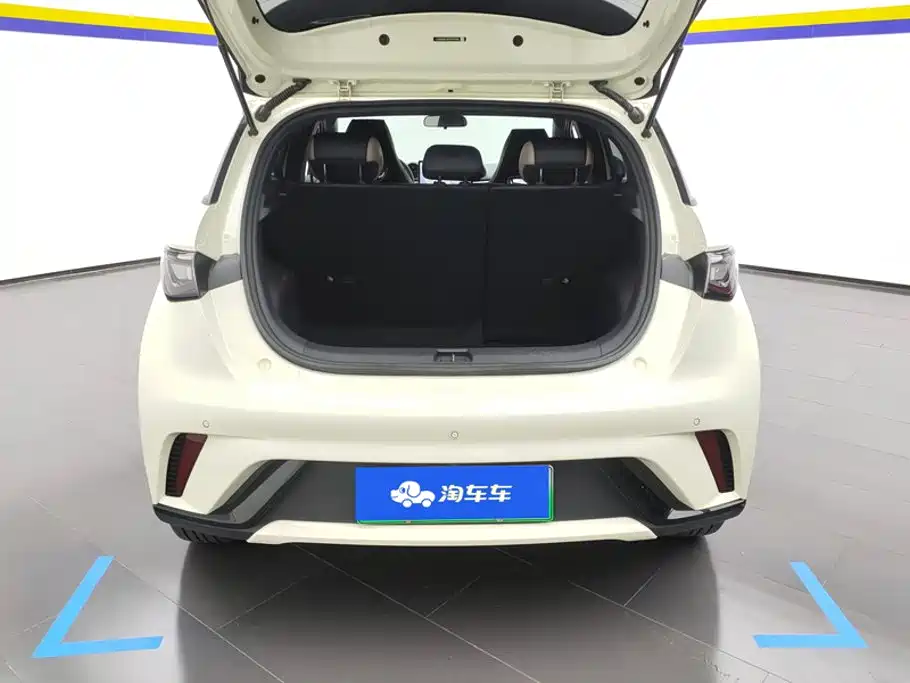 BYD Dolphin 2023